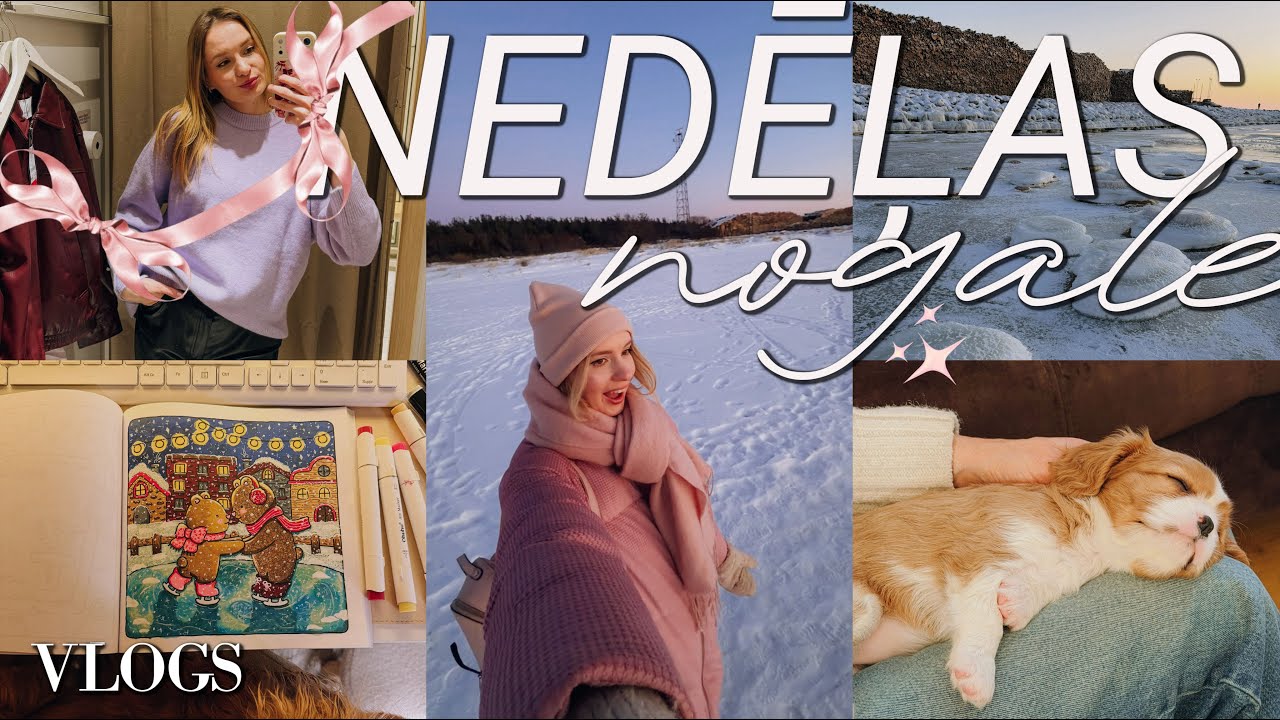 Nedēļas nogales vlogs: iepirkšanās, hobiji & braucam skatīties kucēnu? 🥹