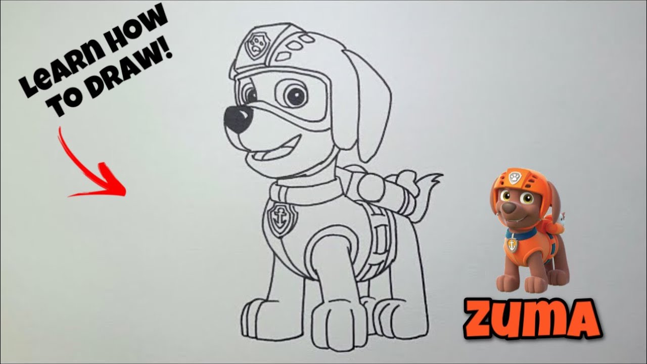 HOW TO DRAW ZUMA | Paw Patrol #drawing #draw #pawpatrol #howtodraw