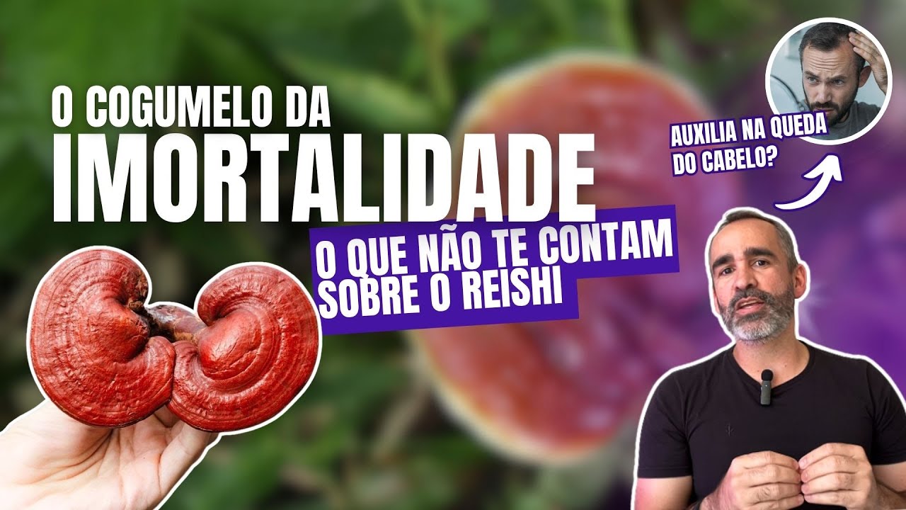 Reishi: O Cogumelo que vai mudar o seu dia e a sua Vida!