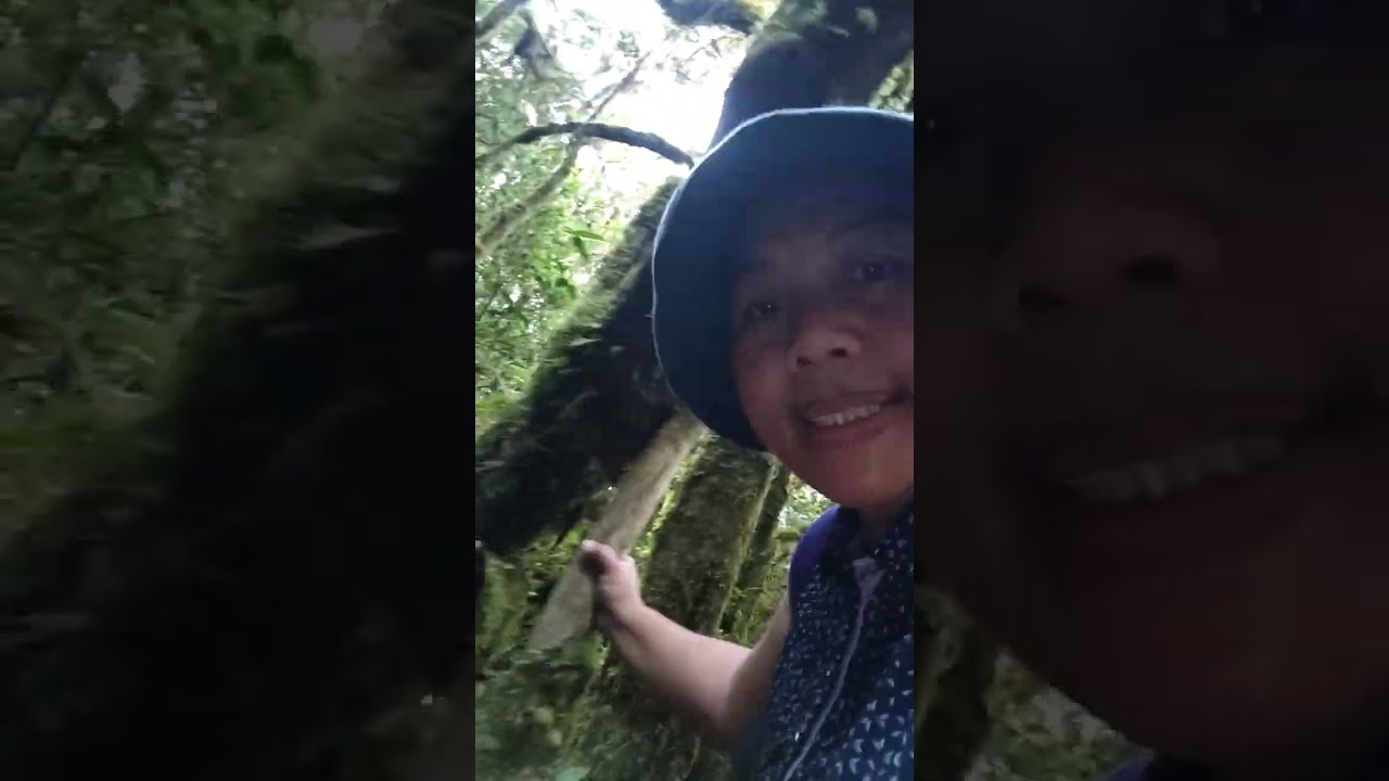 Mt. Tabayoc: A Journey Into the Mossy Silence