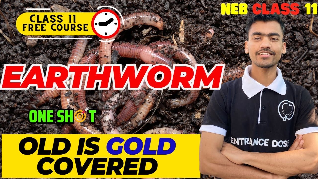 Earthworm Complete For Class 11 | ONE SHOT Video🔥 | MCQ, Short,Long Covered🔥All OLD is GOLD Covered✅