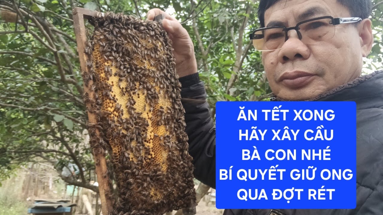 NHÃN RA NỤ,TRỜI LẠNH MƯA,VÌ SAO TUYỆT ĐỐI CHƯA ĐƯỢC XÂY CẦU .????.