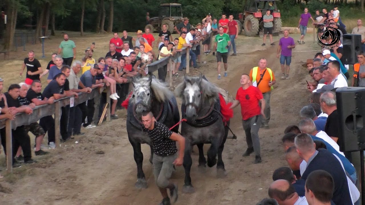 - HUREMOVIĆ SA OPASNIM ZEKANIMA ŠAMPION TEŠKE U PODGRADCIMA -