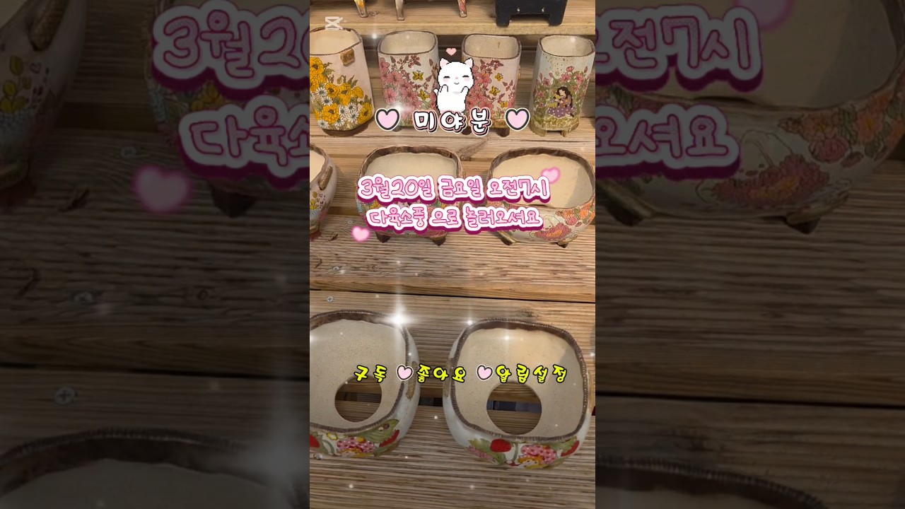 #다육소풍 라이브방송 #매주 월.금요일 #오전7시