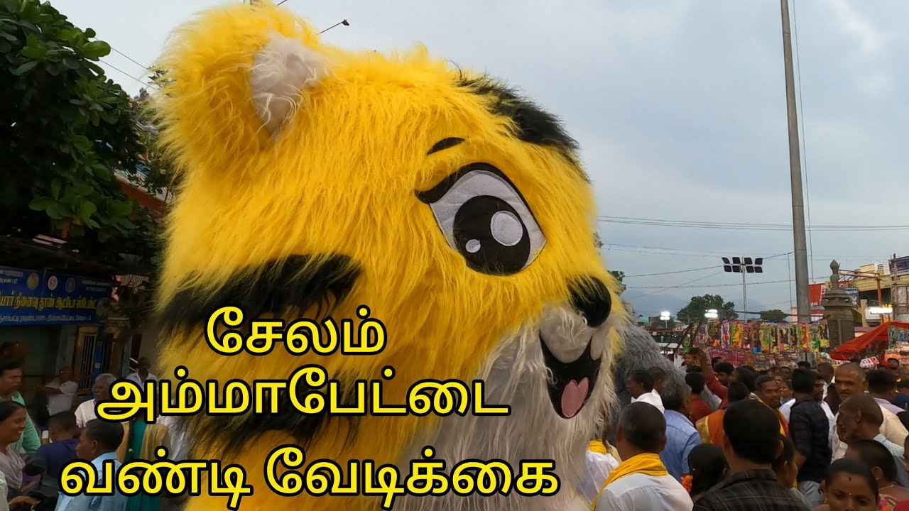 2025 சேலம் அம்மாபேட்டை வண்டி வேடிக்கை #salem #vandivedikai #vlog 