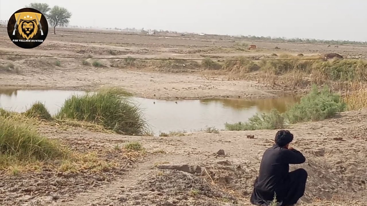 Stilt Hunting  in Pakistan / Hunting Season 2023 /Best Hunting Video / Pak Village Hunter