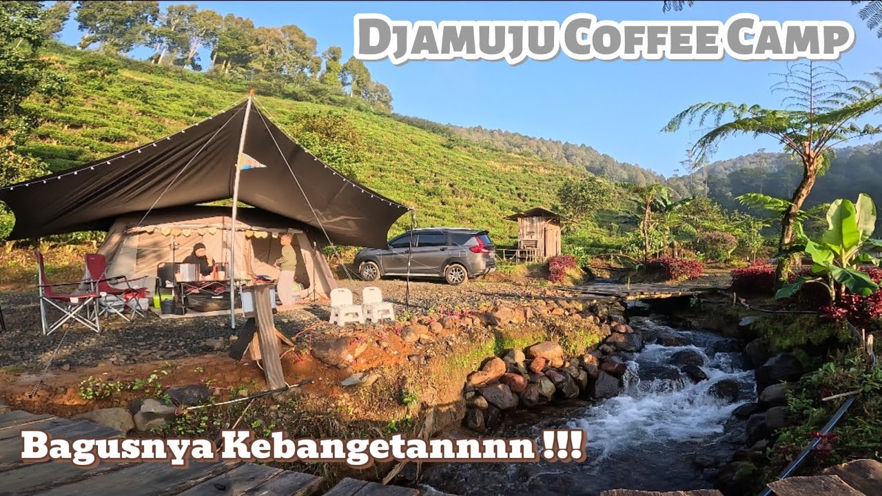 Camping Keluarga Di Djamuju Coffee Camp | Review Spot Terbaru | Trekking Curug Halimun | KAE TRIP