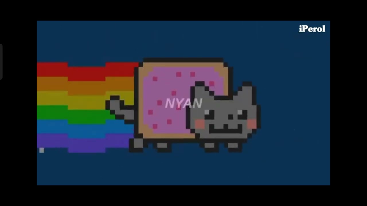 Miau xd