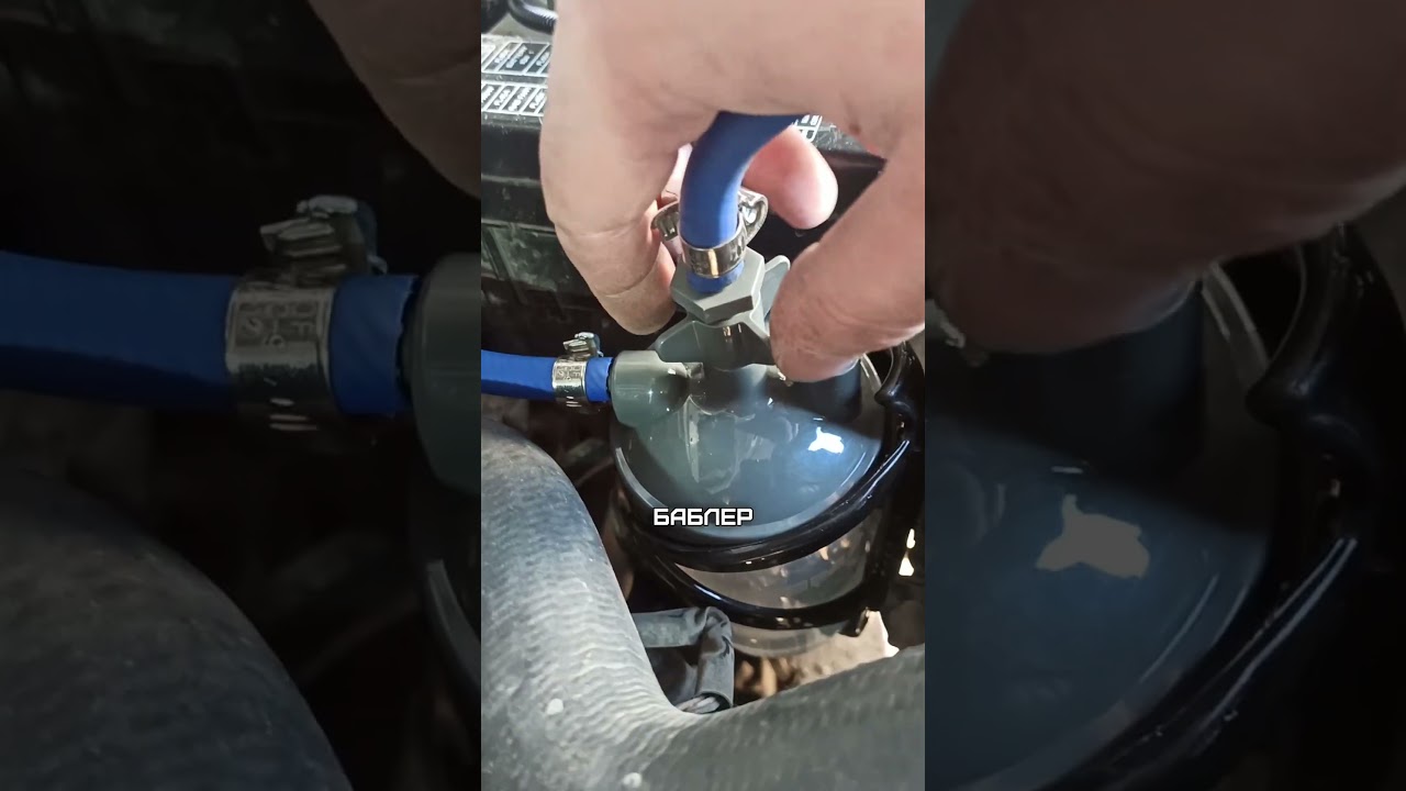 25 февраля 2026 г.