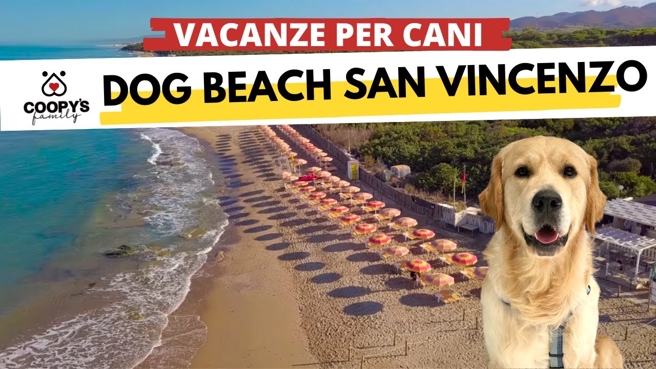 Le migliori spiagge per cani d'Italia |E02| 
