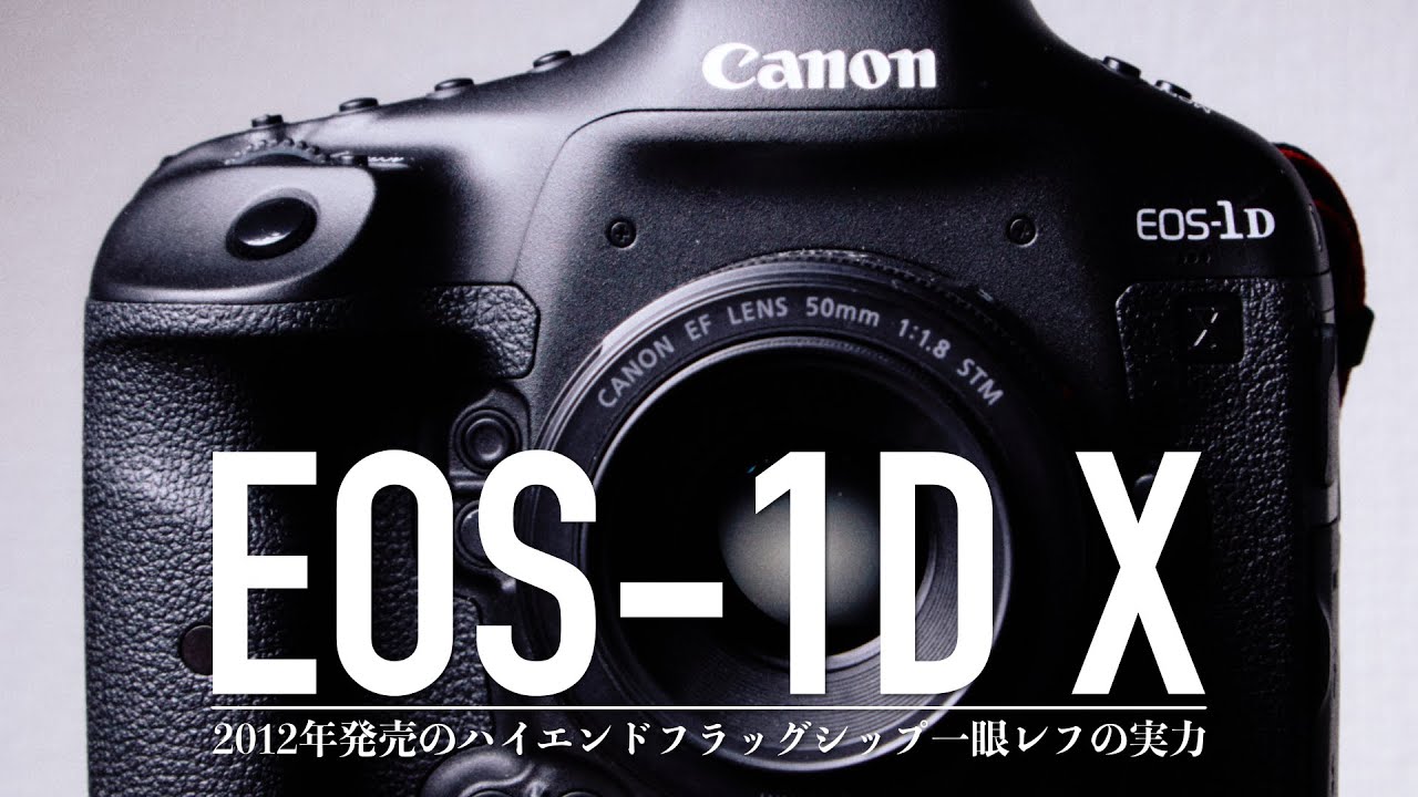 【作例付き】10年以上前のフラッグシップ一眼レフEOS-1D Xは今でも使えるのか？
