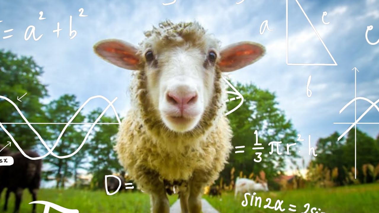 The Surprising Intelligence of Sheep (Ft. @MickeyPardoPhD)
