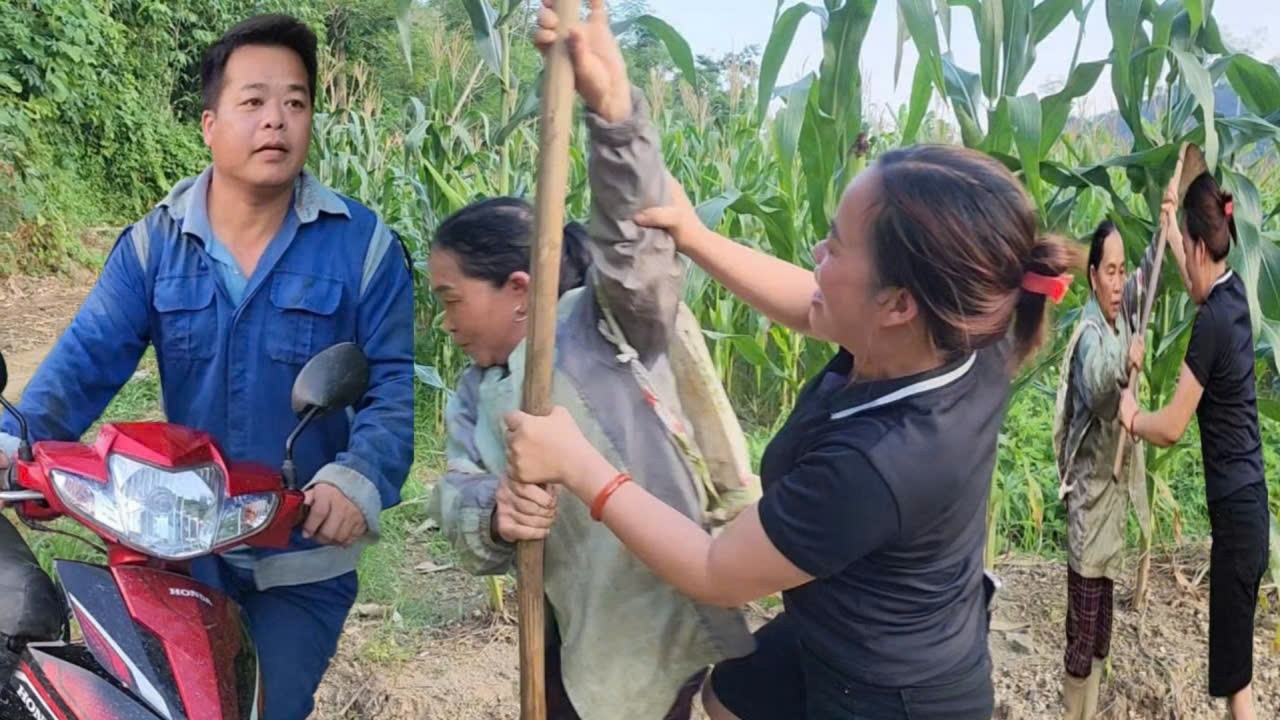 Tuan successfully mediated a land dispute between villagers.