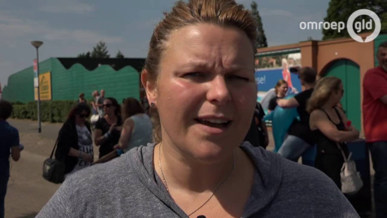 Dolfijnentrainer van Flipper demonstreert bij Dolfinarium in Harderwijk - Omroep Gelderland