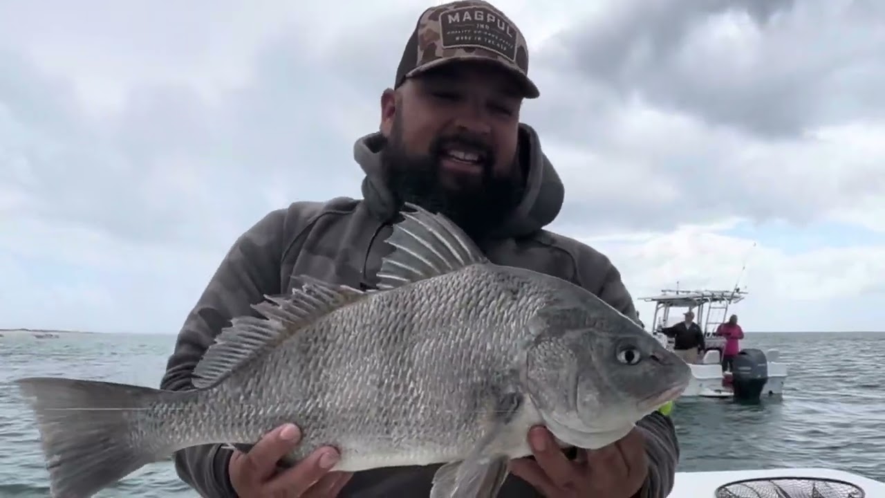 Catching Black Drum and Sheepshead in Morehead city North Carolina