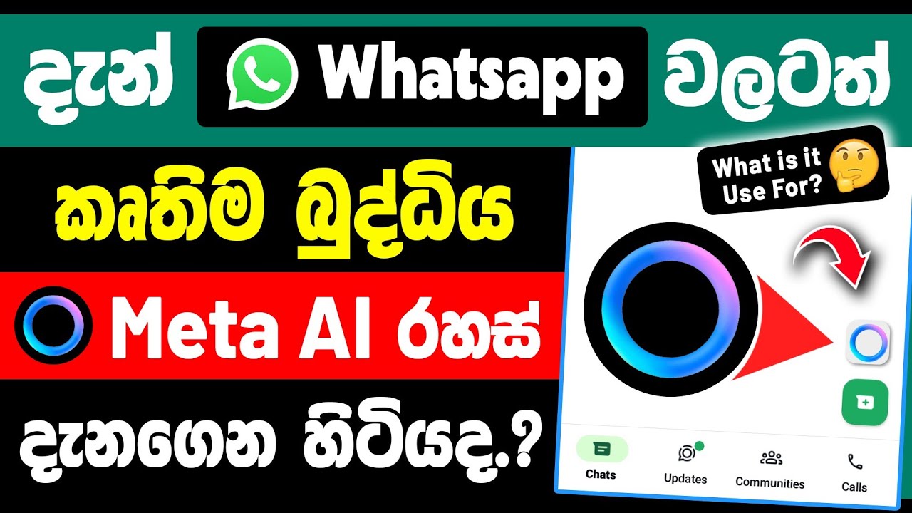 WhatsApp New Meta AI Update Explained in Sinhala | WhatsApp Meta AI Feature