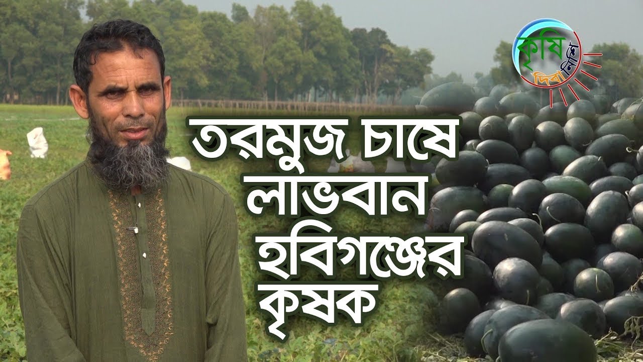 তরমুজ চাষ করে বিপুল লাভ করছেন হবিগঞ্জের হরিনখোলা গ্রামের কৃষক| Shykh Seraj | Bangladesh Television |