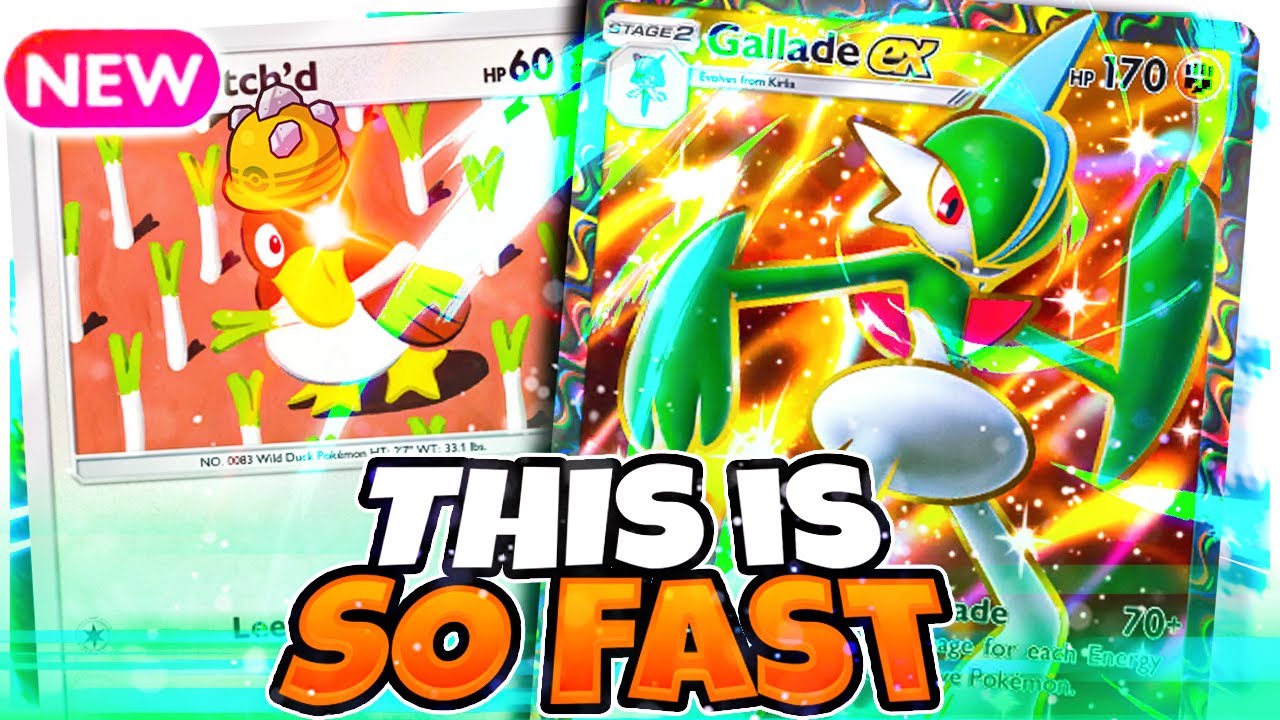 THIS Gallade EX Deck is FULL AGGRO - Pokemon Pocket