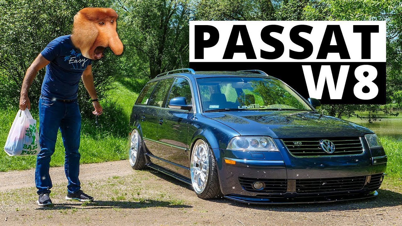 Grażyno trzymaj mnie...- VW Passat B5 W8