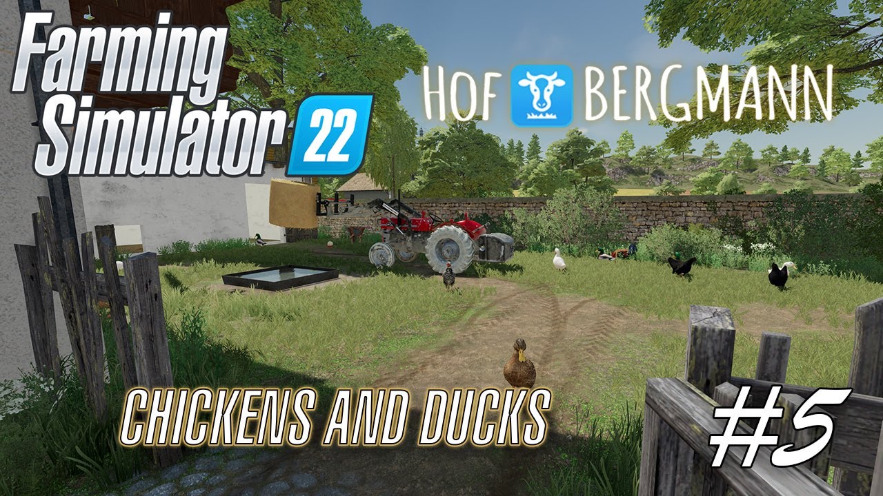 Topping Off The Chickens and Ducks | A Farmers Life | FS22 Hof Bergmann Ep5
