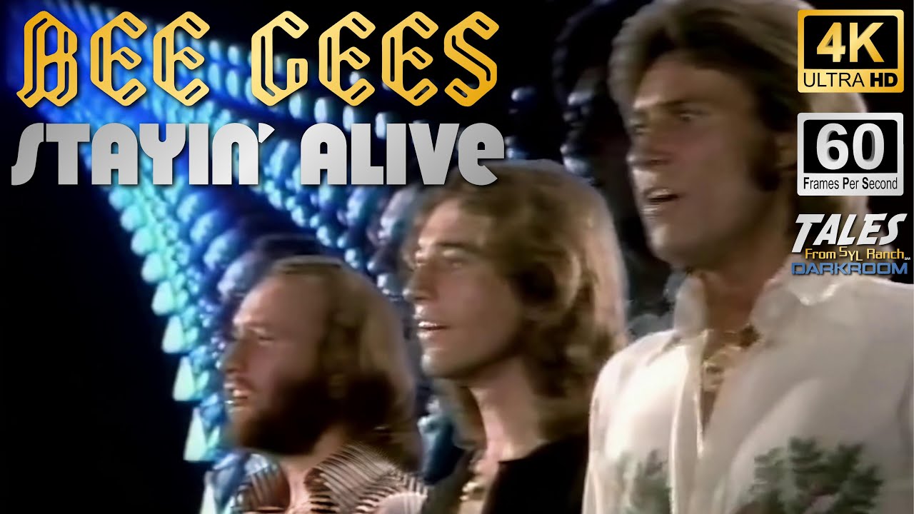 The Bee Gees 