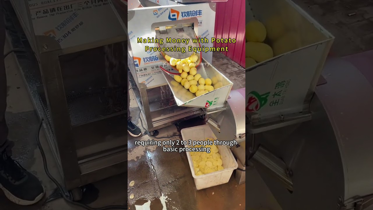 Making money by starting a business with potato processing equipment#fyp #potatochips #potato