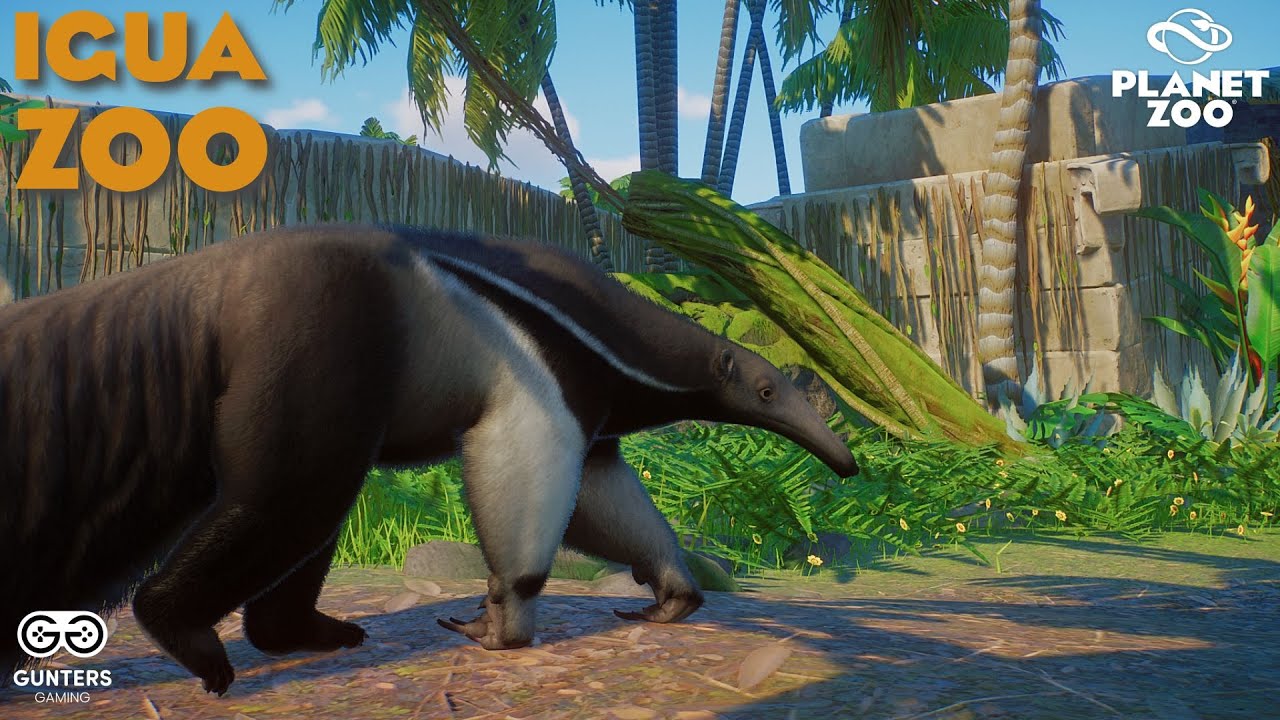 Creating An Incredible Giant Anteater Habitat | Igua Zoo | Planet Zoo Sandbox
