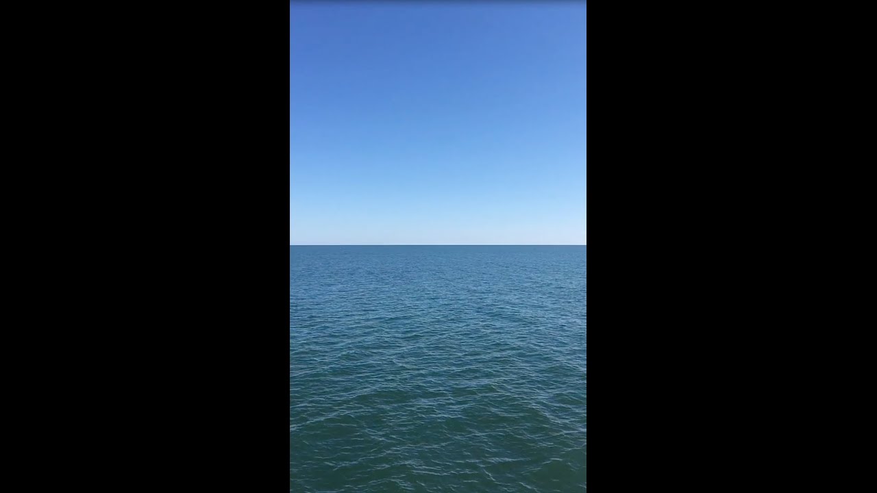 Whale Watching in Cape May