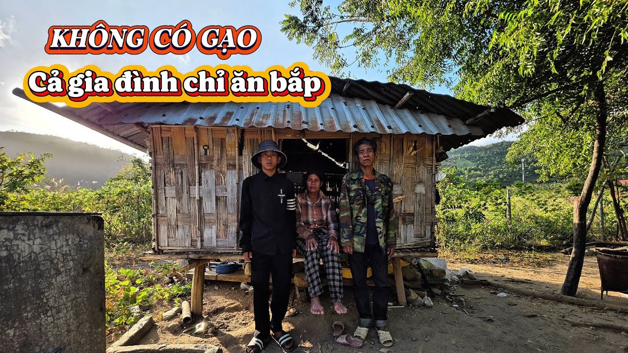 Gia đình nghèo ĐI LÀM CÔNG 4 NGÀY mới có một gùi bắp để ăn || 494