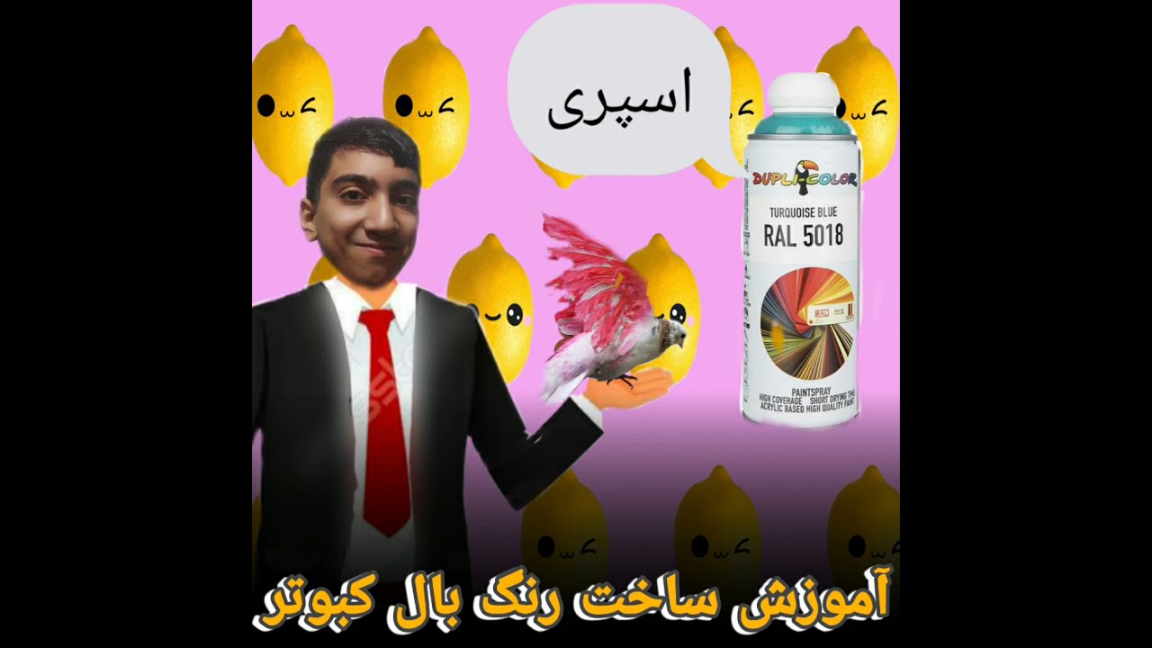 آموزش ساخت رنگ بال کبوتر به همراه آموزش زدن