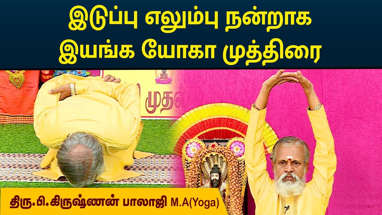 இடுப்பு எலும்பு நன்றாக இயங்க யோகா முத்திரை | Krishnan Balaji | YOGA MUDRA | MEGA TV |