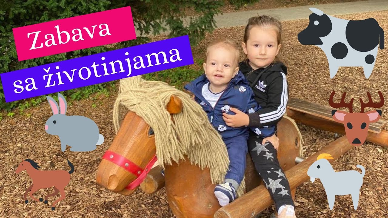 Zabava sa životinjama