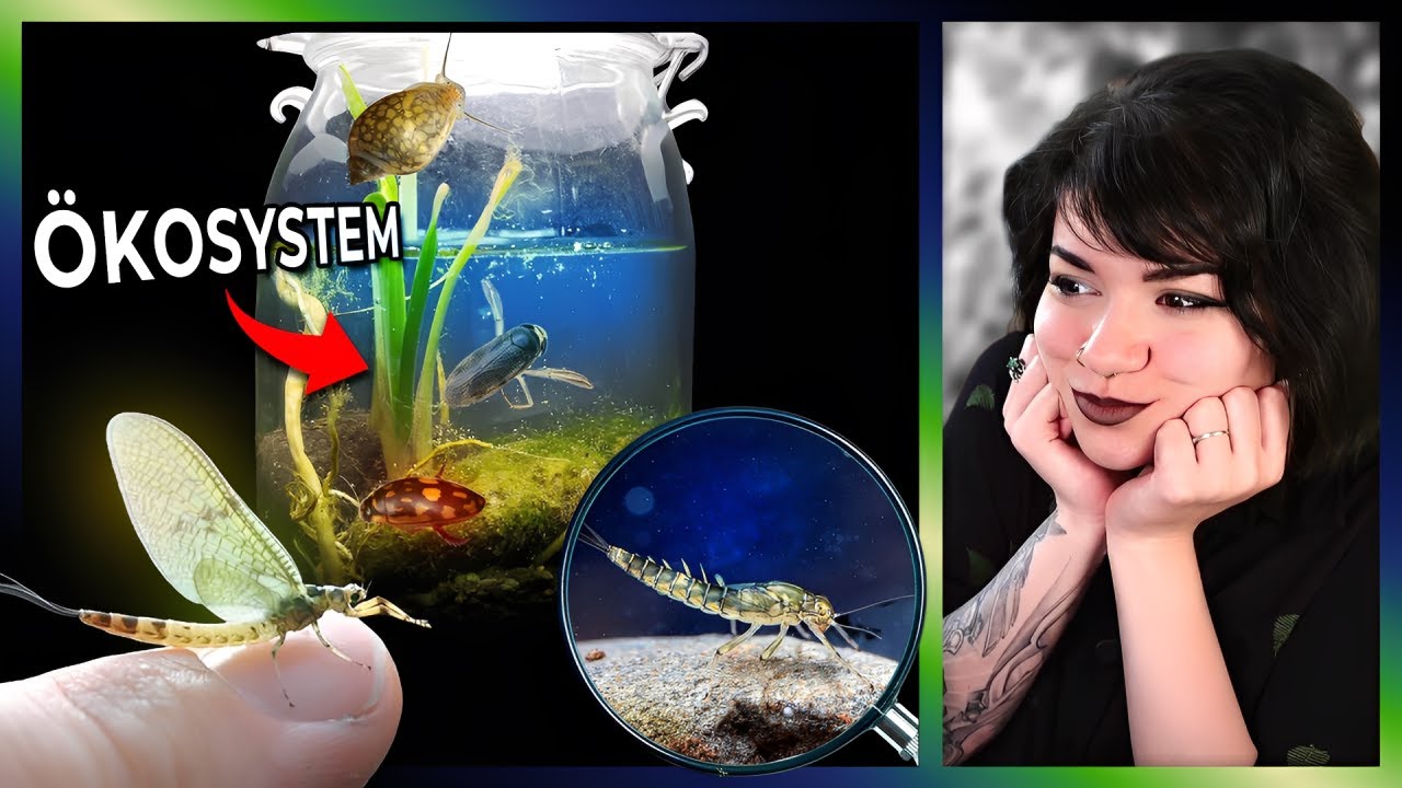Mini-Ökosystem im GLAS?! | Aerri reagiert auf @habitatForge