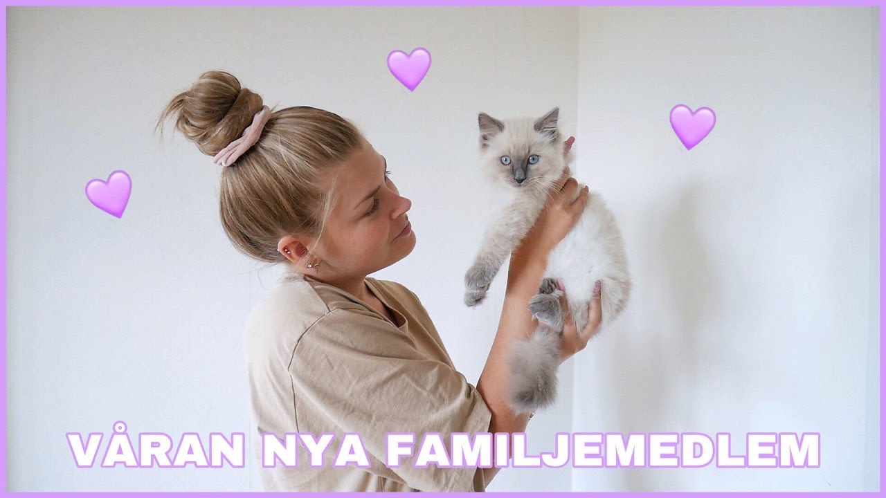 HÄMTAR VÅRAN KATTUNGE