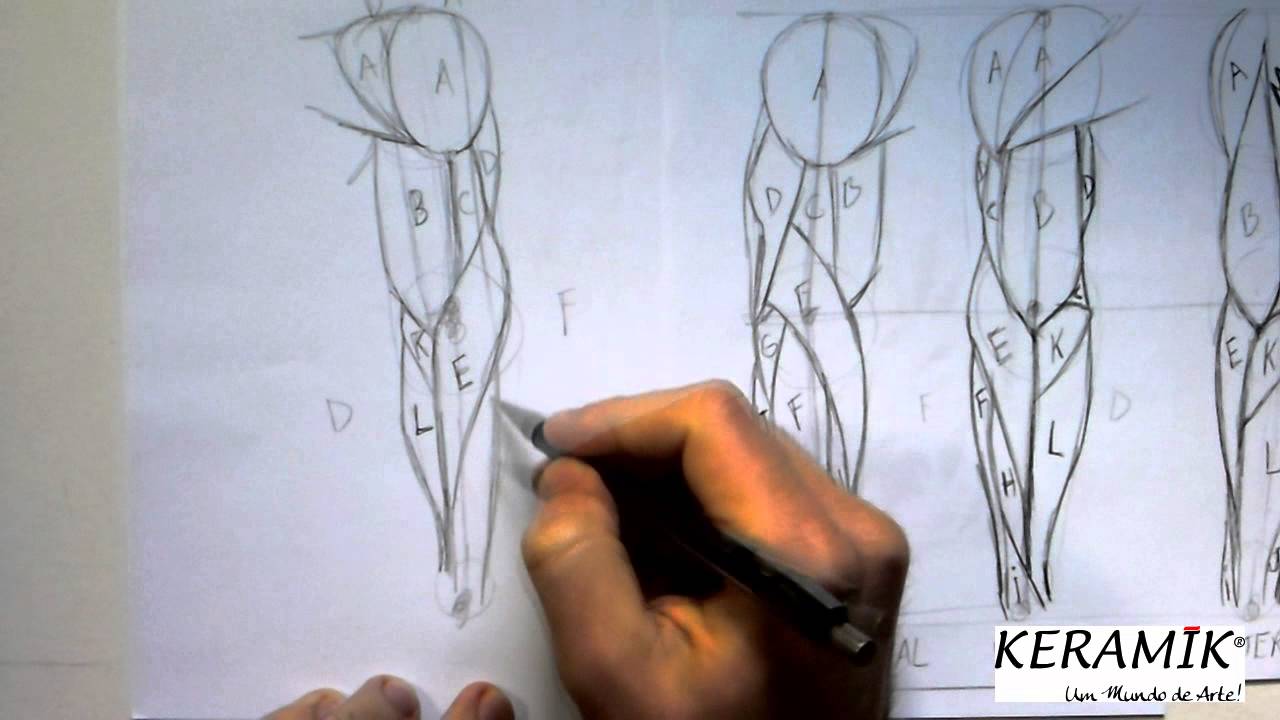 Como desenhar: Praticando Anatomia - Movimento 1 Parte 2