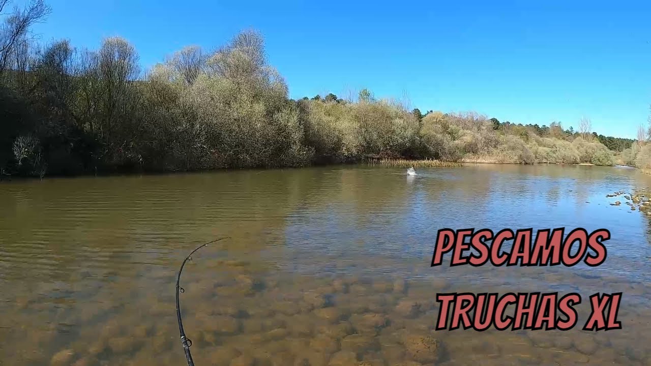 Pesca cucharilla ⚠️ GRANDES TRUCHAS ⚠️ rio Duero 2024