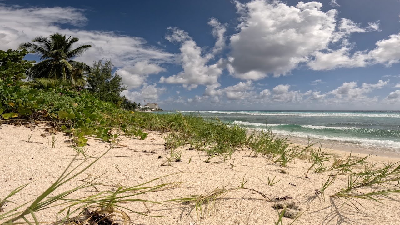 Scenes From Barbados (4K)