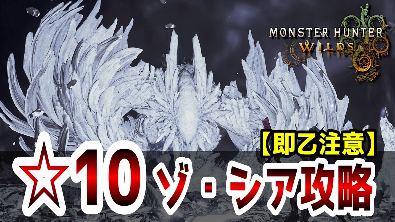 【結論強い？！】『☆10ゾシア』攻略！即乙級の火力に注意！！【モンハンワイルズ】