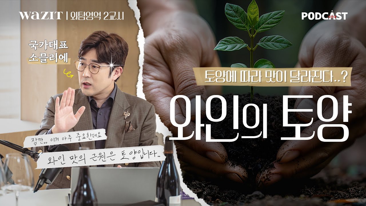 와인 떼루아 총정리 2편 (와인의 토양, 토양별 특징, 리슬링 비교, 와인 테이스팅)