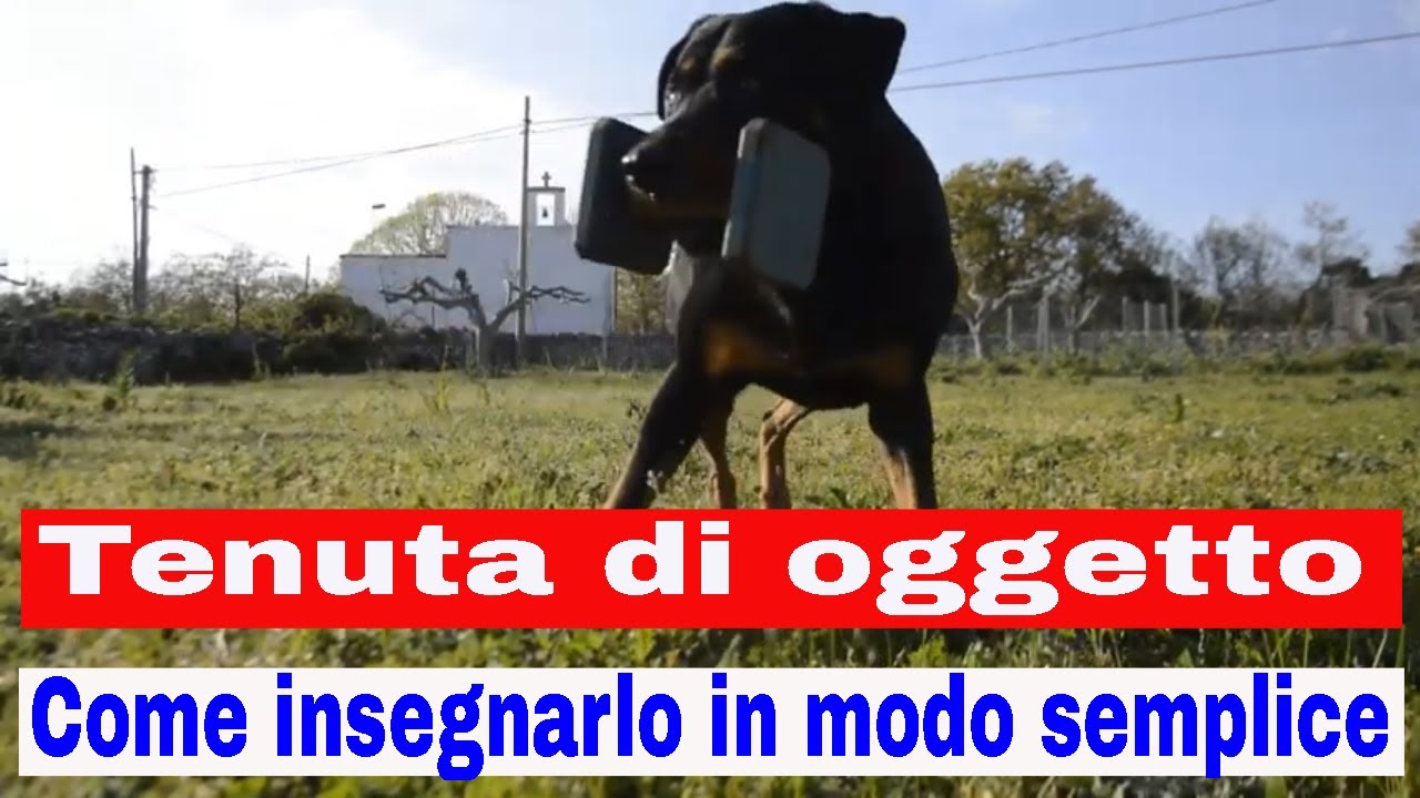 Tenuta di un oggetto. Come insegnarlo in modo semplice