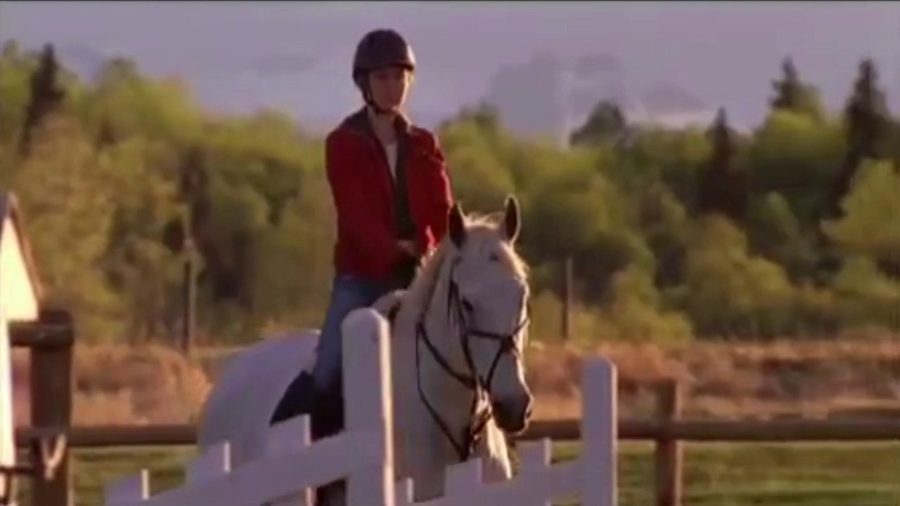 Heartland Spartan, Storm and Phoenix Jumping