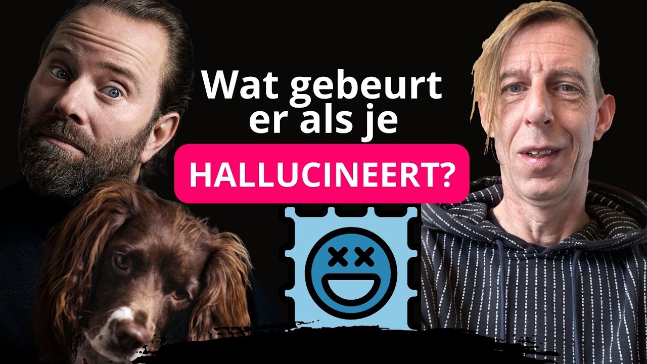 Wat gebeurt er als je hallucineert?