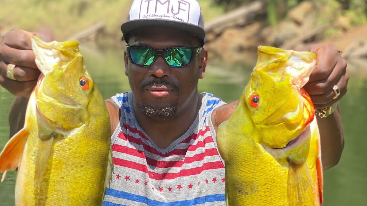 PeacockBassFishing/Hawaii Fishing/how to catch peacock bass