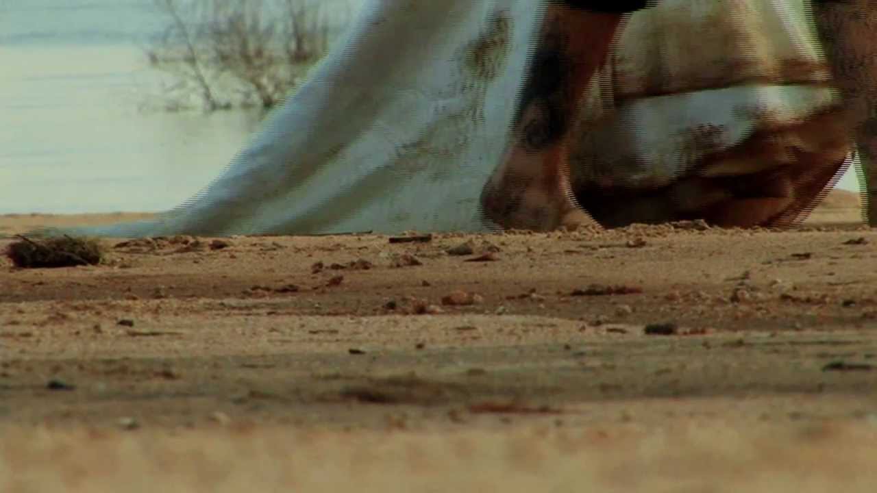 Best Trash the Dress / Rock the Dress - Muddy Waters1