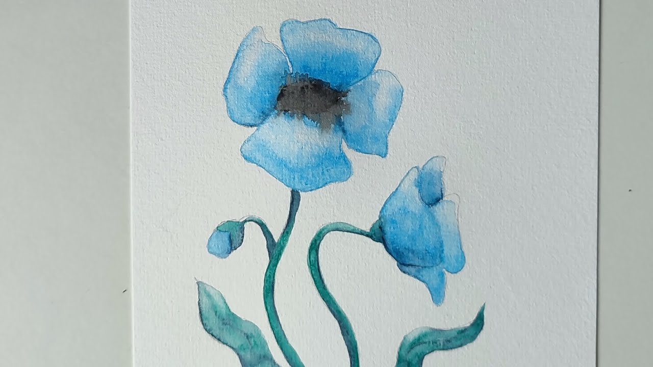 Tutorial como pintar una amapola azul con lápices de colores acuarelables.