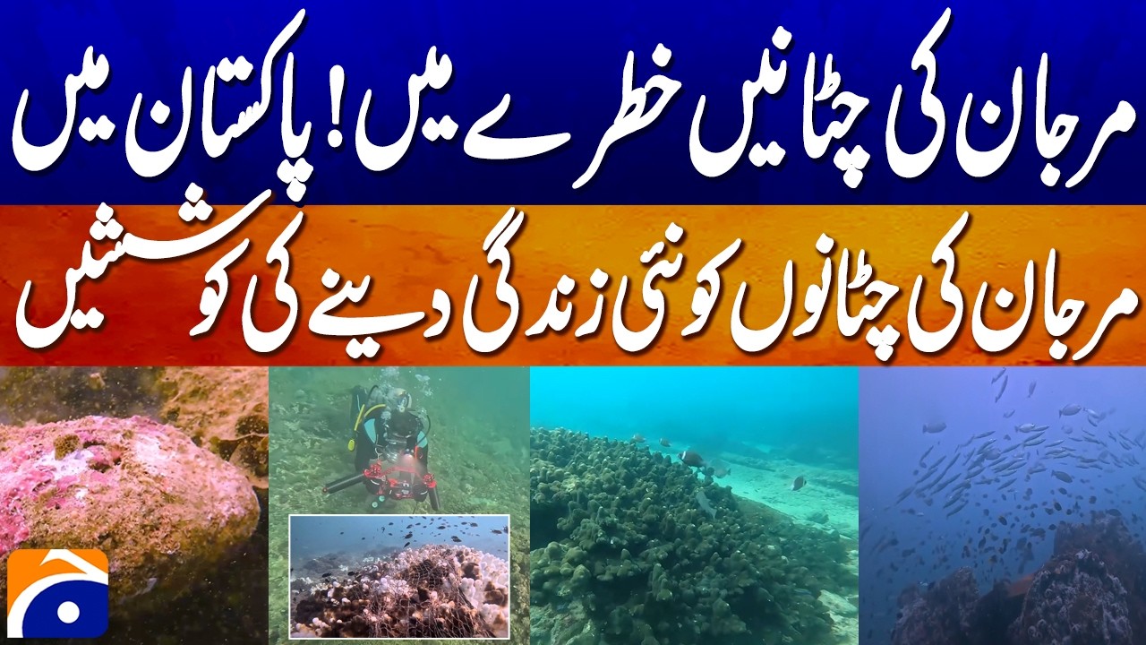 Coral Reefs in Danger: Pakistan’s Efforts to Restore Marine Life | Geo News