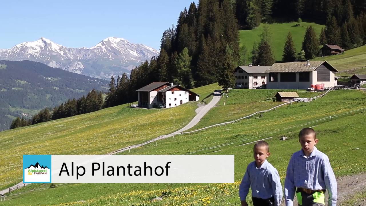 Alpkäserei Parpan mit Zuschauergalerie