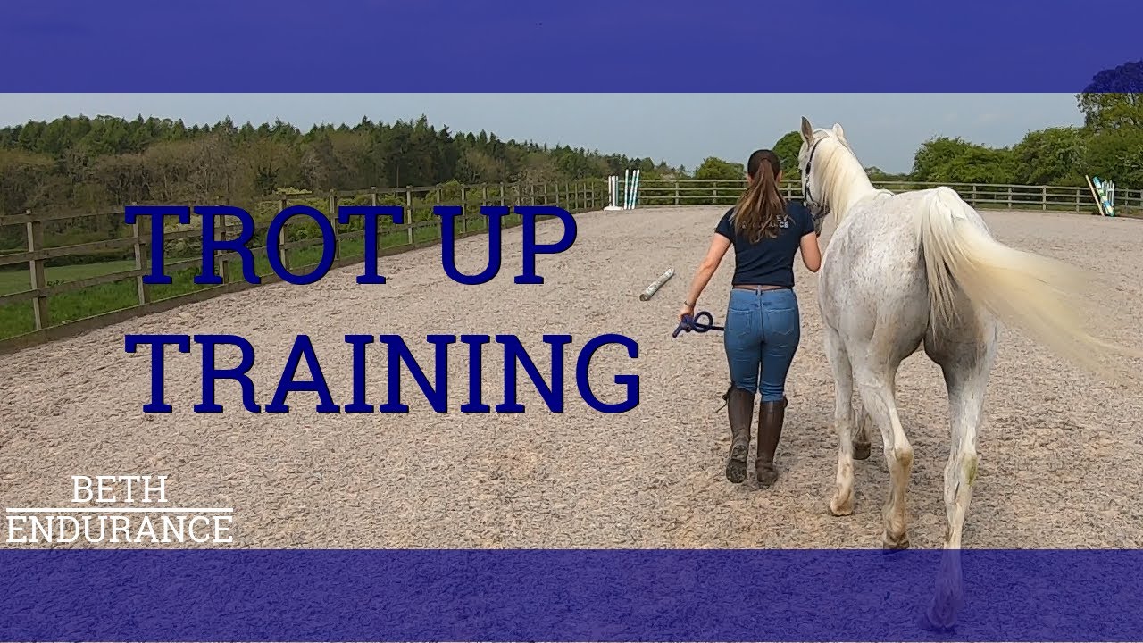 Endurance Horse Trot Up Training - Beth Endurance