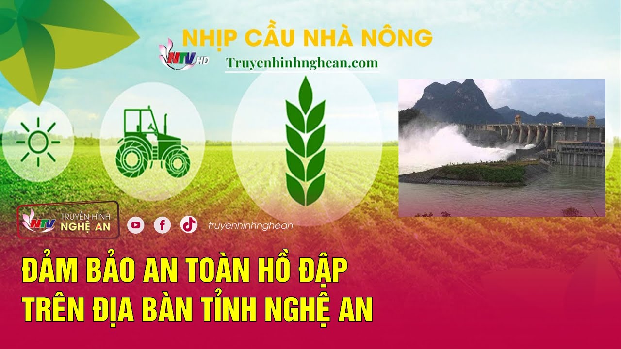 [🔴Trực tiếp] Nhịp cầu nhà nông: Kỹ thuật Chăm sóc, nuôi dưỡng bò thịt