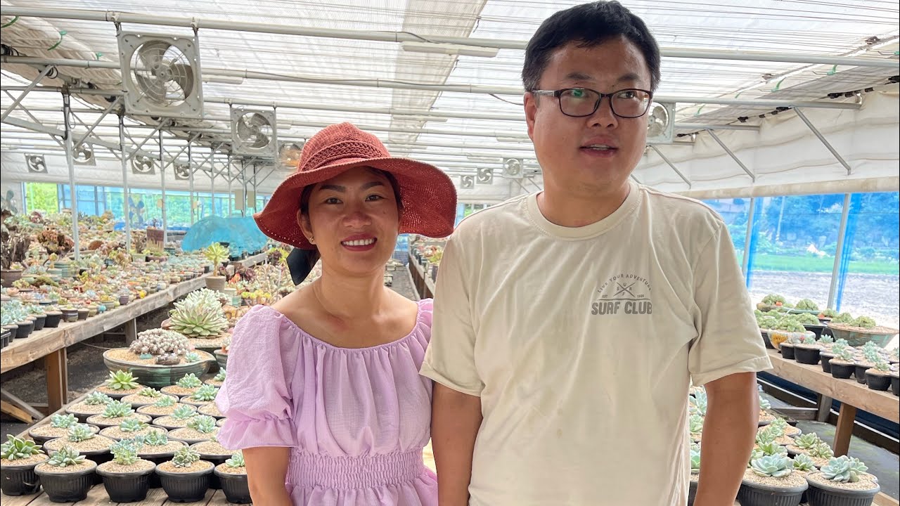 Last day in Korea for plants hunting ! Going home first 10 boxes 📦 coming later ♥️🌵